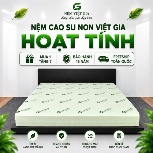 NỆM CAO SU NON HOẠT TÍNH VIỆT GIA