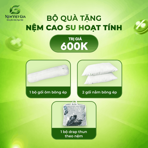 NỆM CAO SU NON HOẠT TÍNH VIỆT GIA