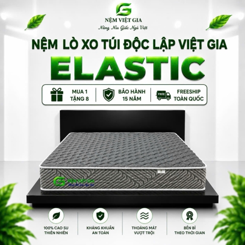 NỆM LÒ XO ĐỘC LẬP ELASTIC VIỆT GIA